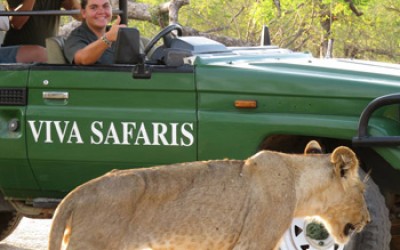 Tanya and guests close-up to lioness.
