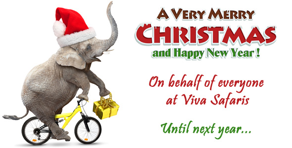 Merry Xmas